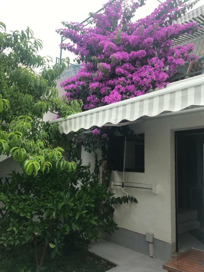 Sara Apartments Baška Voda Eksteriør billede